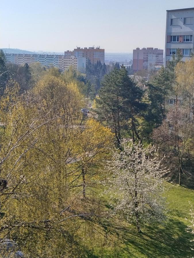 Flat Lesna Brno Apartment Bagian luar foto