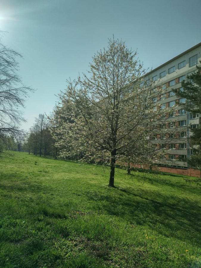 Flat Lesna Brno Apartment Bagian luar foto